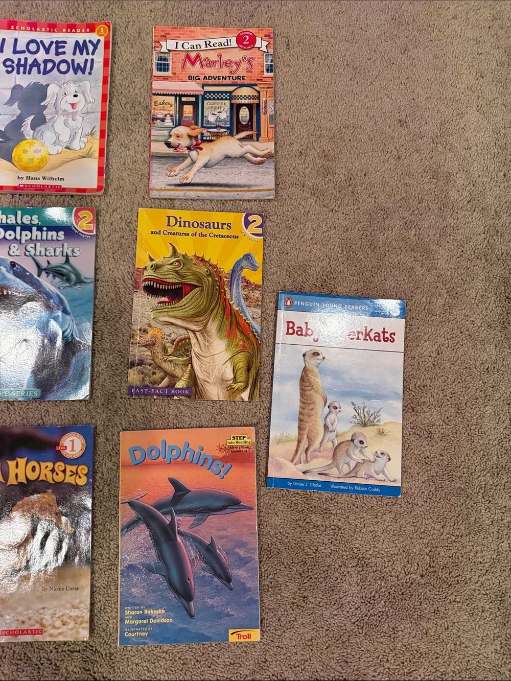First Readers Animal Books Bundle